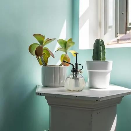 Le Reve Bleu Majorelle - Duplex Sur Les Toits - Nuit A Nimes