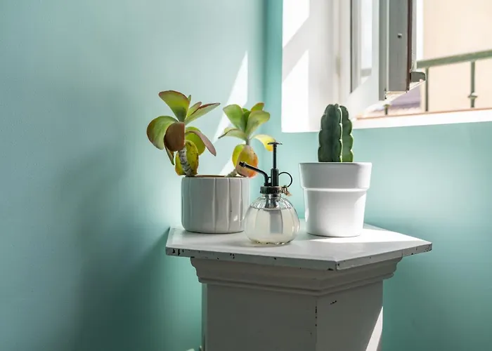 Le Reve Bleu Majorelle - Duplex Sur Les Toits - Nuit A Nîmes